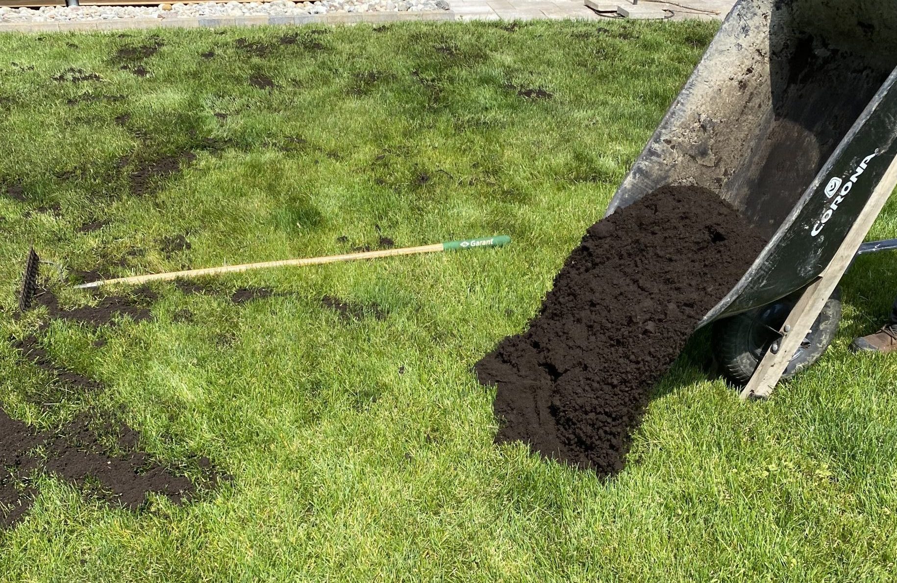 Photo 2021-06-04, 3 11 01 PM (1)